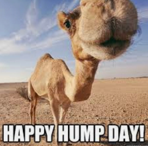 It’s Hump-day!!